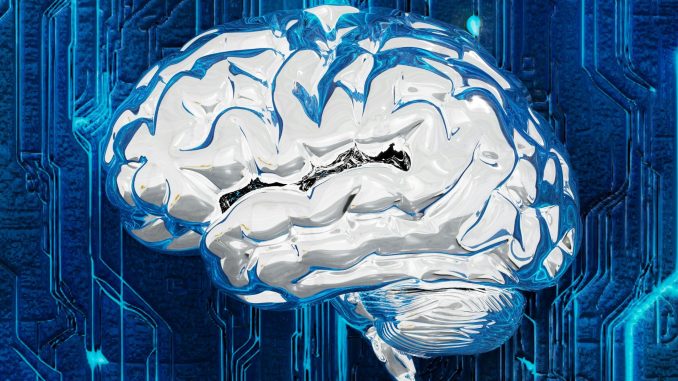 CAMIA privacy attack reveals what AI models memorise