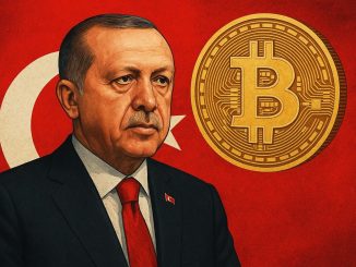 Erdogan Is Planning a Massive Turkey Crypto Crackdown