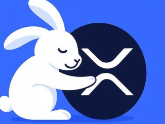 Rabby Wallet integrates XRPL EVM chain with Peersyst