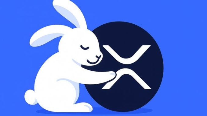 Rabby Wallet integrates XRPL EVM chain with Peersyst