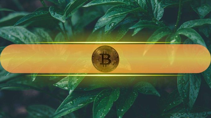 Bitcoin Breaks $106K as Volatility Spikes and Market Tests Liquidity