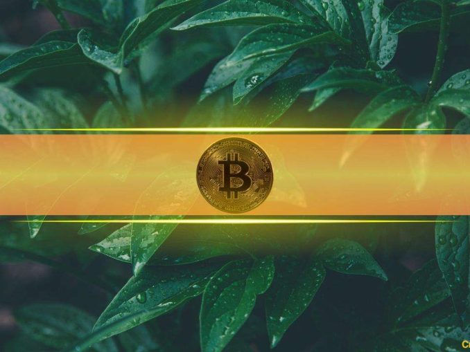 Bitcoin Breaks $106K as Volatility Spikes and Market Tests Liquidity