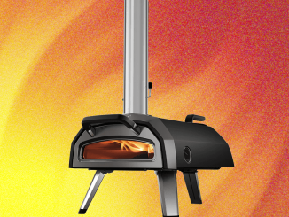 Our 8 Favorite Pizza Ovens: Wood, Gas, Electric, and Grill (2025)
