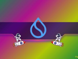 SUI Crashes Into Crucial Support – Bounce or Breakdown Ahead?