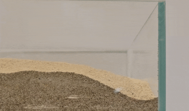 Soft Edible Robot: A Sweet Treat with a Purpose