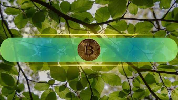 Trader Says Extreme Fear and Death Cross Point to Major Bitcoin Rally