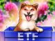 VanEck Ships Solana ETF, First Spot DOGE ETF Expected Monday