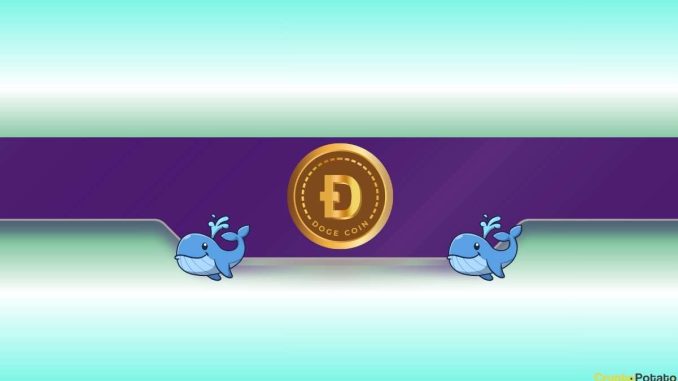 480,000,000 DOGE Snapped Up by Whales in 48 Hours: What’s Coming?