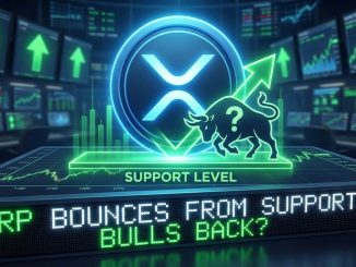 XRP Price Finds Its Footing at Support, Bulls Test Their Strength