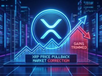 XRP Price Gives Back Upside, Market Watches Support Closely