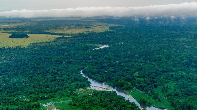 View of a river running through lush, tropical forests.