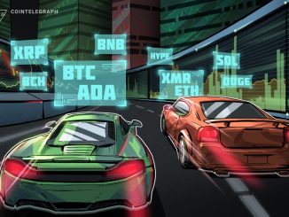 Is The Bull Market Back?