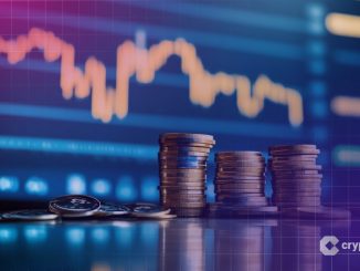 Michael Burry BTC fall