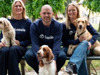 Swedish pet insurtech Lassie raises $75M Series C after hitting $100M ARR