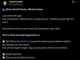 THEDEFIGURU's X post highlighting the most recent Bitcoin whale buys.