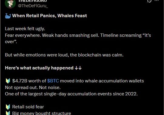 THEDEFIGURU's X post highlighting the most recent Bitcoin whale buys.