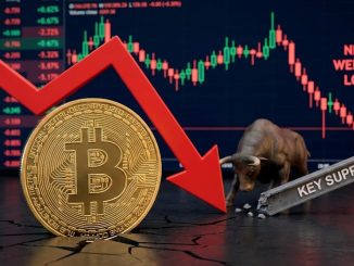 Bitcoin Price Will Not See A Proper Surge Until This Happens; Analyst