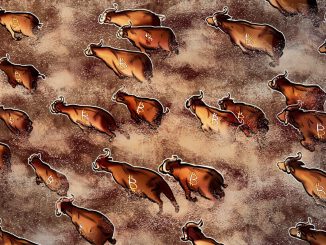 Bitcoin Relief Rally Fades as Bear Market Signals Hold