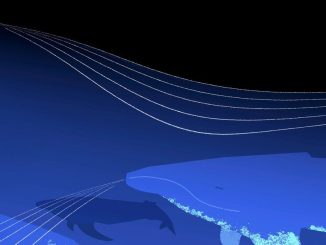 Google's Foundation Model Decodes Whale and Bird Calls