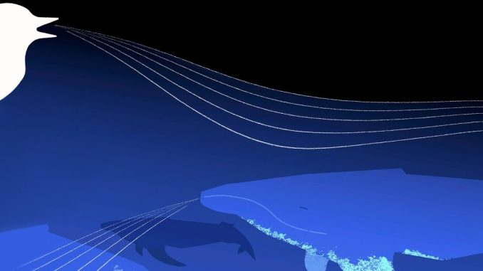 Google's Foundation Model Decodes Whale and Bird Calls