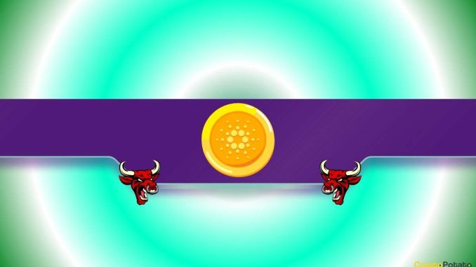 TD Sequential Flashes Buy Signals for These 2 Popular Altcoins