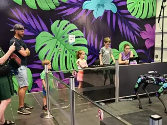 Boston Dynamics Spot's Interaction With the Public