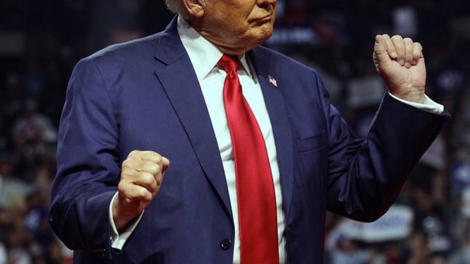 Why Crypto Traders Are Turning on the TRUMP Memecoin