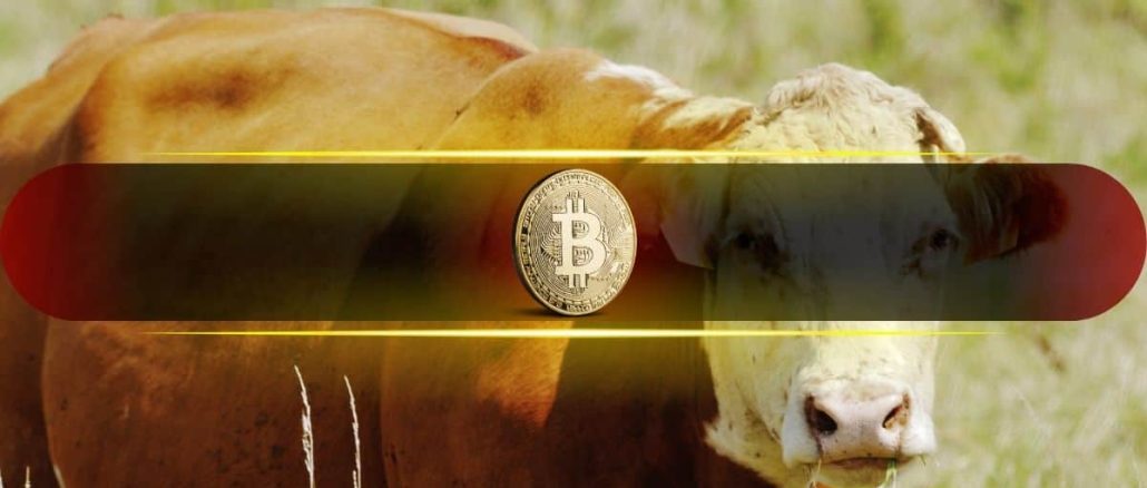 Bitcoin Market Structure Continues to Improve as Bullish Undertones Build: Glassnode