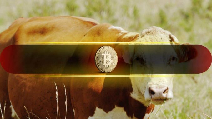 Bitcoin Market Structure Continues to Improve as Bullish Undertones Build: Glassnode