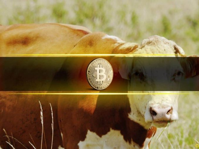Bitcoin Market Structure Continues to Improve as Bullish Undertones Build: Glassnode