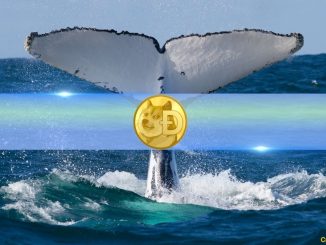 Dogecoin (DOGE) Whales Quietly Accumulate as Holdings Hit Record Levels