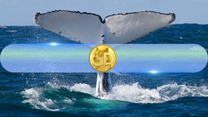 Dogecoin (DOGE) Whales Quietly Accumulate as Holdings Hit Record Levels