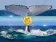Dogecoin (DOGE) Whales Quietly Accumulate as Holdings Hit Record Levels