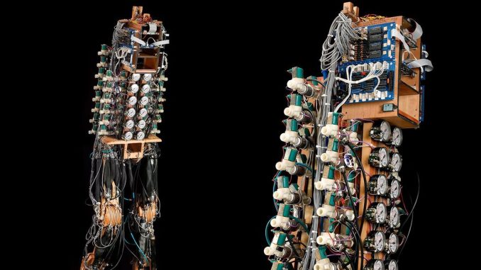 Shadow Walker Was a DIY Biped Humanoid Robot