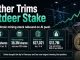 Tether Trims Bitdeer Stake After AI Push Lifts Bitcoin Mining Stock