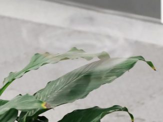AI Design Makes a Wild Invisible Spinning Drone