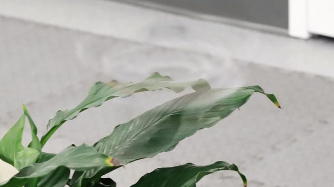 AI Design Makes a Wild Invisible Spinning Drone
