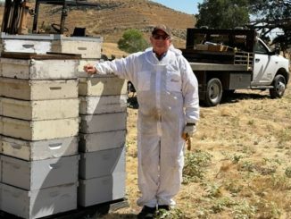 How this 70-year-old honey bee farmer is keeping his family farm alive