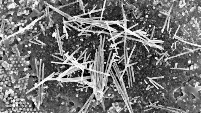 Topological Materials Could Shrink Chip Interconnects