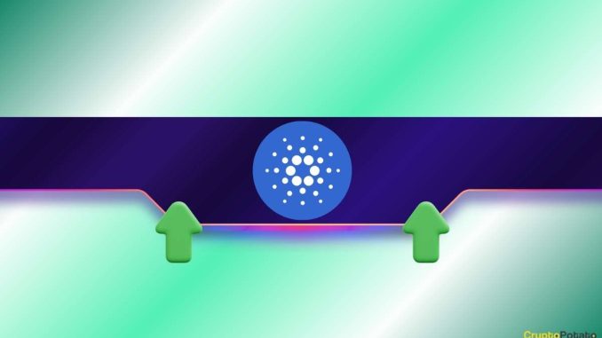 Why is Cardano (ADA) Up 15% in a Week?