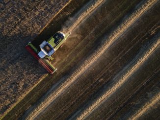 'Perfect storm' brews for global food supply as grain prices soar