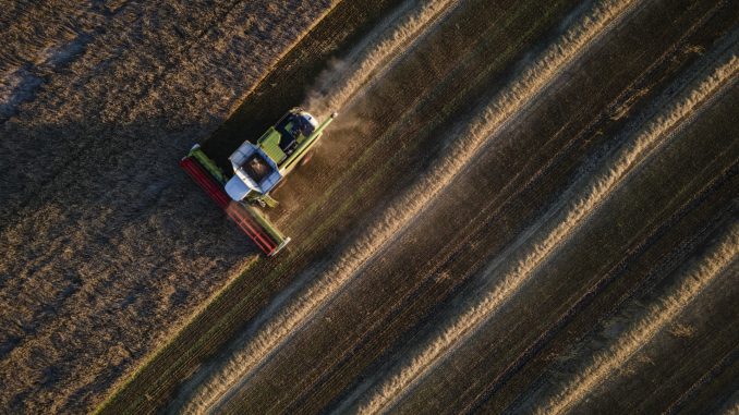 'Perfect storm' brews for global food supply as grain prices soar