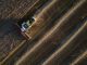 'Perfect storm' brews for global food supply as grain prices soar