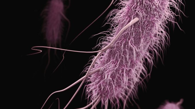 Stanford Evo 2 AI model generates phages against E. coli
