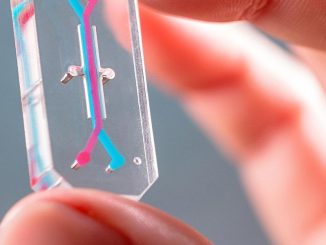 Alternatives to Animal Testing Are Finally Taking Off