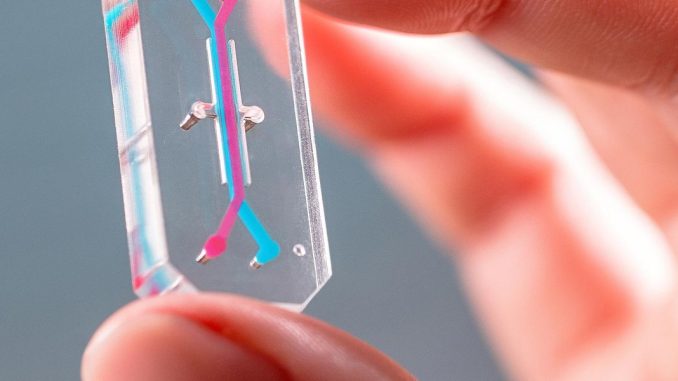 Alternatives to Animal Testing Are Finally Taking Off