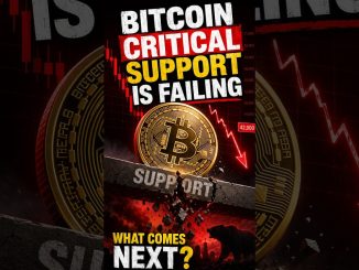 Bitcoin Critical Support Is Failing –What Comes Next? Crypto Cobra