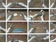 Tactile Data Helps Robots Get Fast, Smart Hand Skills