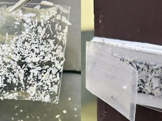 Garlic Peel-Powered Sensor Puts Biowaste to Use