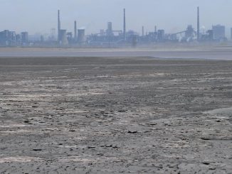 The China Rare Earth Minerals Strategy